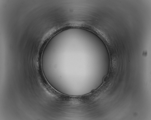 X0000091060682200708201346