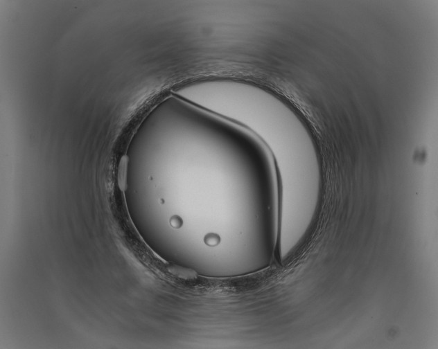 X0000091060683200708201346