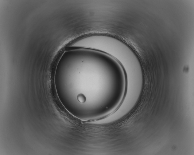X0000091060684200708201346