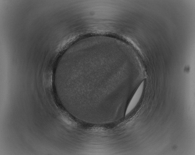 X0000091060685200708201346