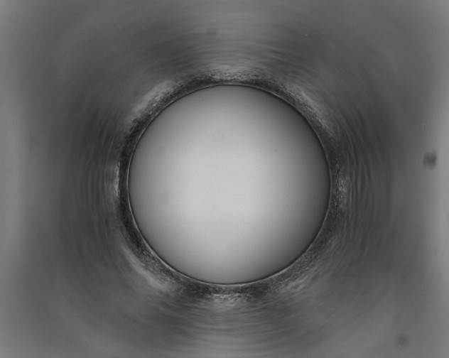 X0000091060686200708201346