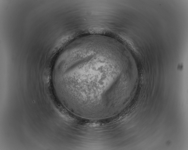 X0000091060687200708201346