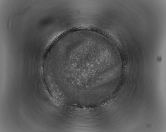 X0000091060688200708201345
