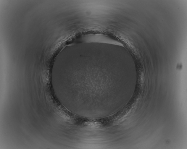 X0000091060689200708201345
