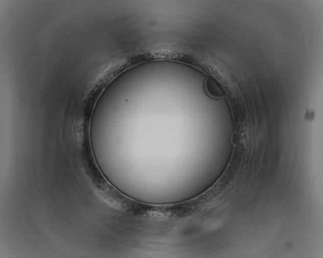 X0000091060690200708201345
