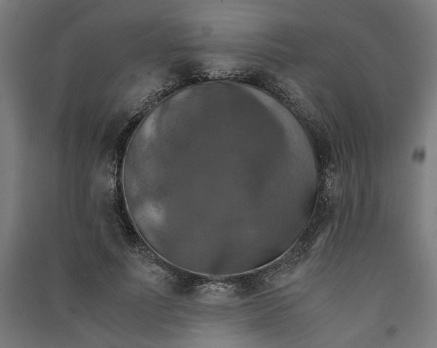 X0000091060691200708201345