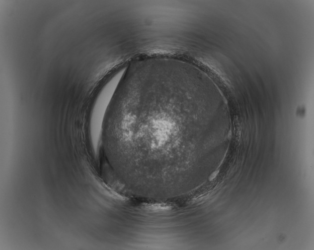 X0000091060692200708201345