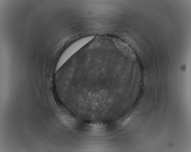 X0000091060693200708201345