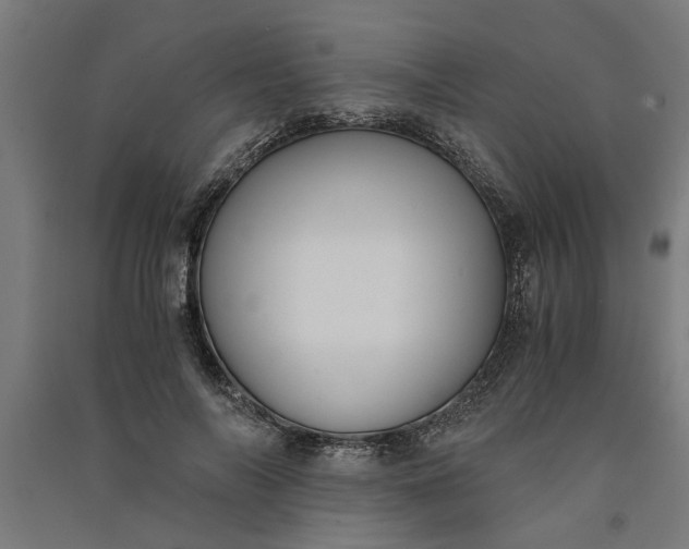 X0000091060694200708201345