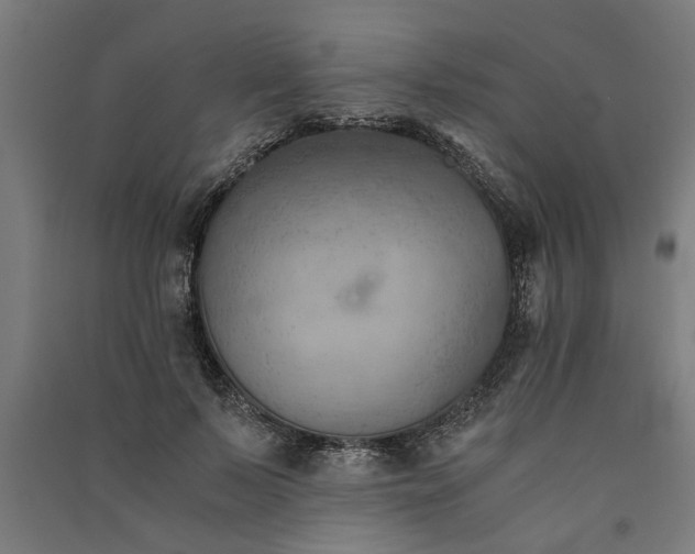 X0000091060695200708201345