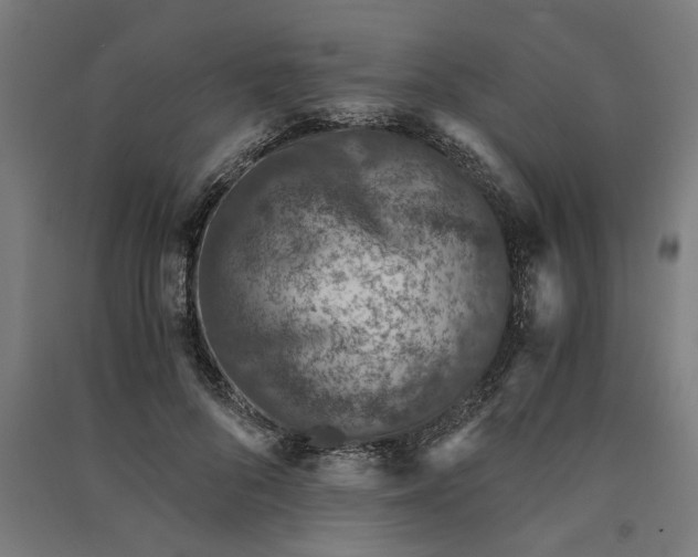 X0000091060696200708201345