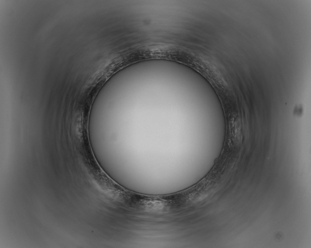 X0000091060698200708201345