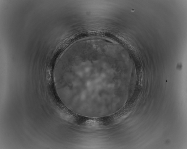 X0000091060699200708201345