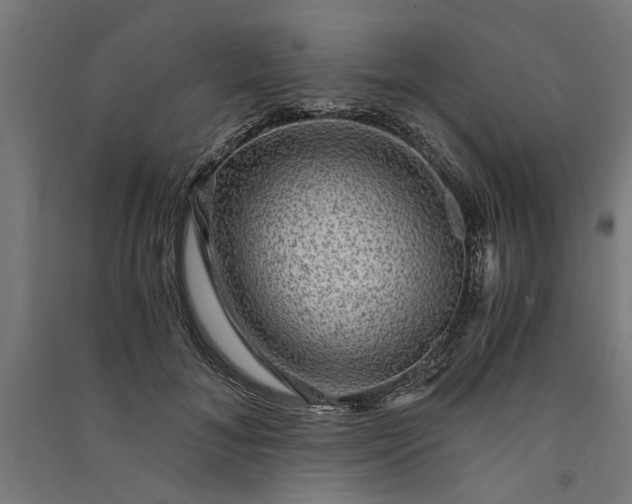 X0000091060700200708201345