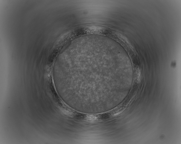 X0000091060701200708201345