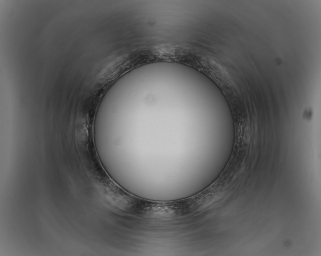 X0000091060702200708201345