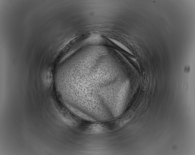 X0000091060704200708201345