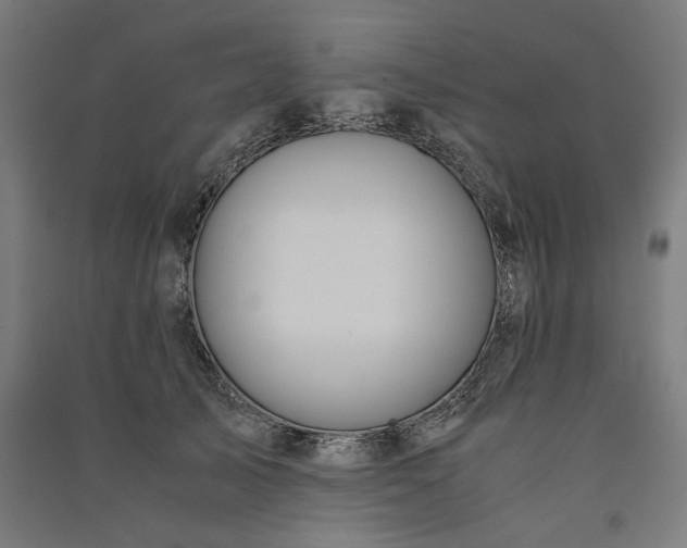 X0000091060705200708201345