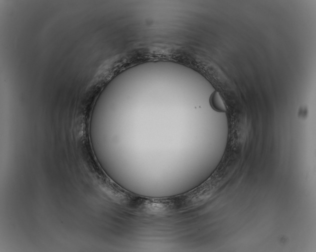 X0000091060706200708201345