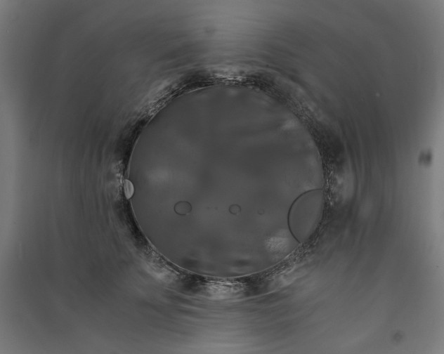 X0000091060707200708201345