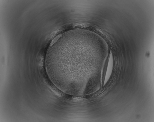 X0000091060708200708201345