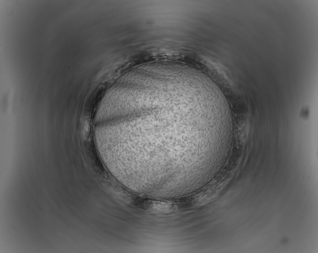 X0000091060709200708201345