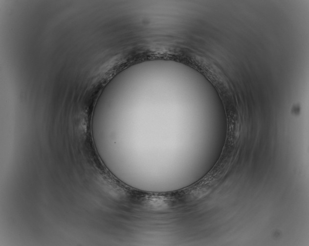 X0000091060710200708201345