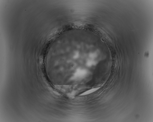 X0000091060711200708201345