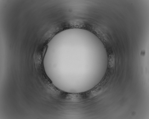 X0000091060713200708201345