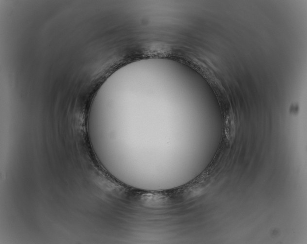 X0000091060714200708201345