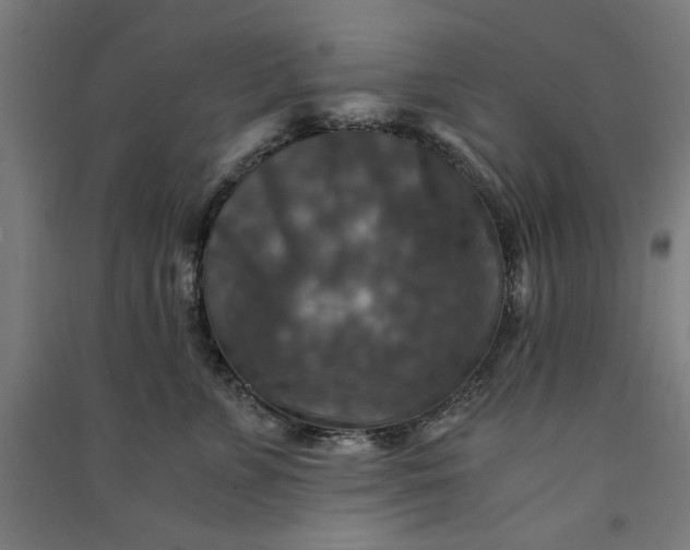 X0000091060715200708201345