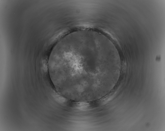 X0000091060719200708201345