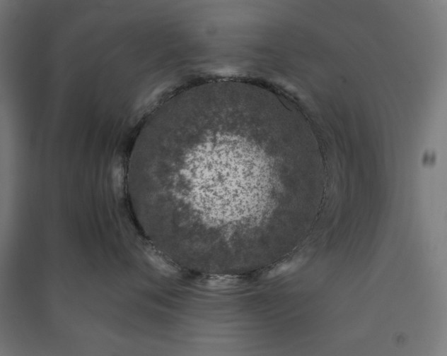 X0000091060720200708201345