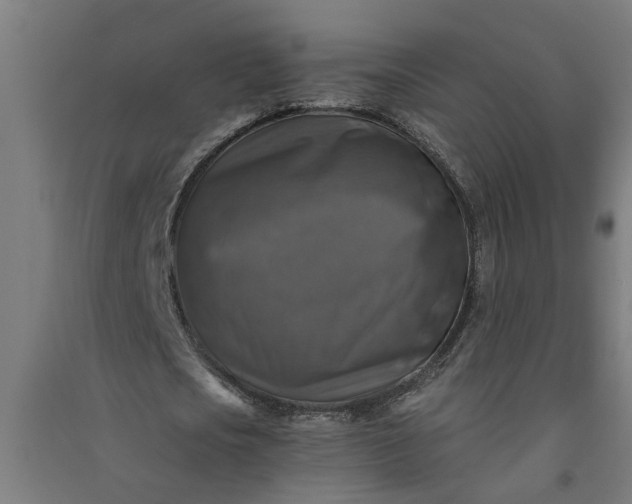X0000091060721200708201344