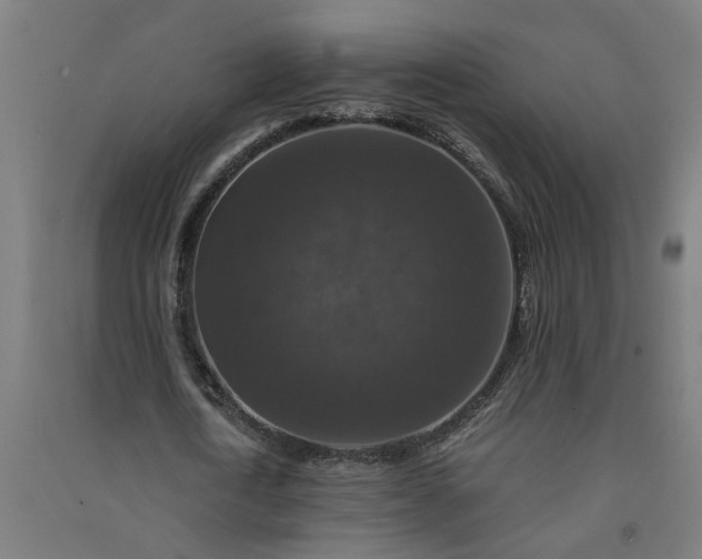 X0000091060722200708201344