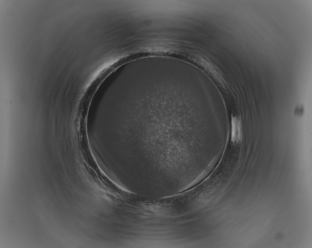X0000091060723200708201344