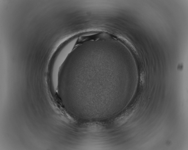 X0000091060724200708201344