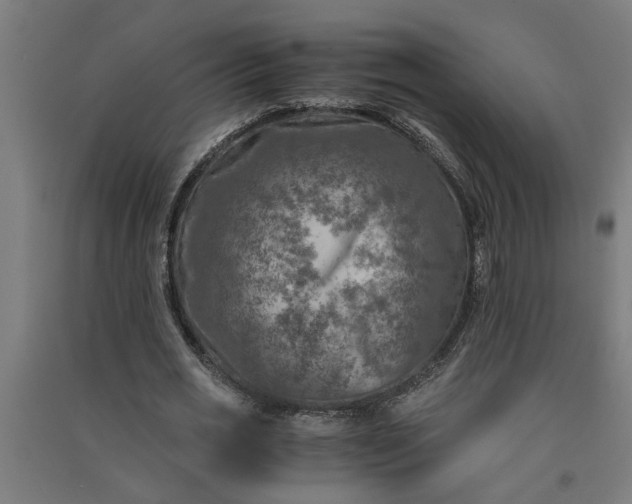 X0000091060725200708201344