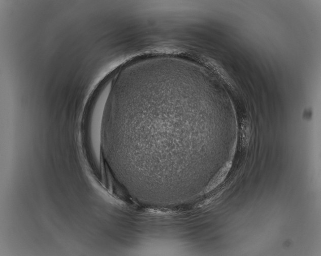 X0000091060726200708201344