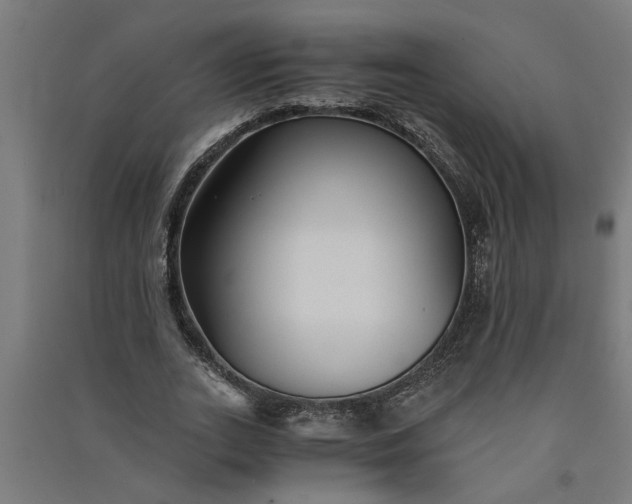 X0000091060727200708201344