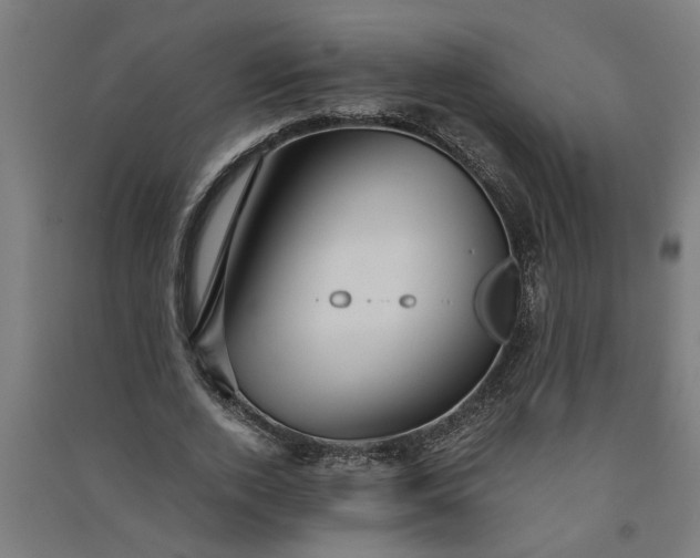 X0000091060728200708201344