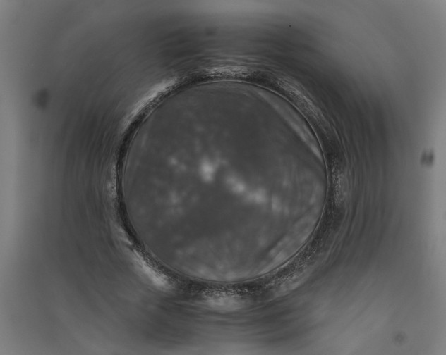X0000091060729200708201344