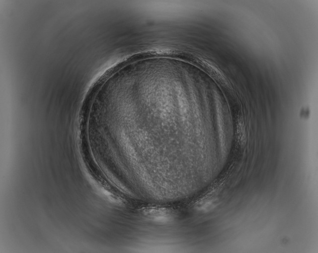 X0000091060730200708201345