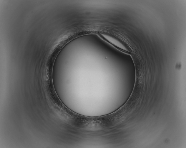X0000091060731200708201345