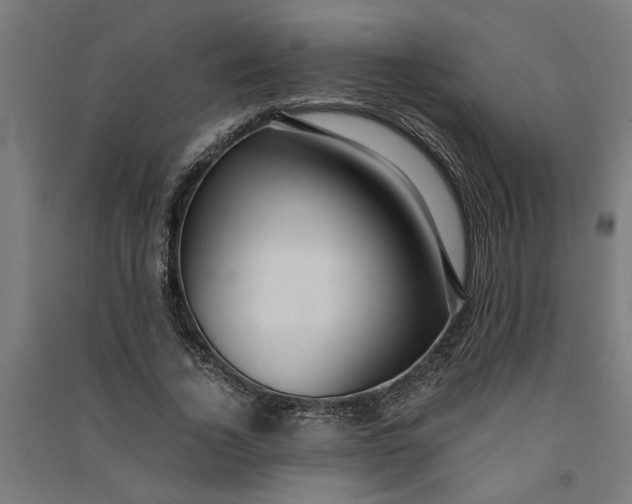 X0000091060732200708201345