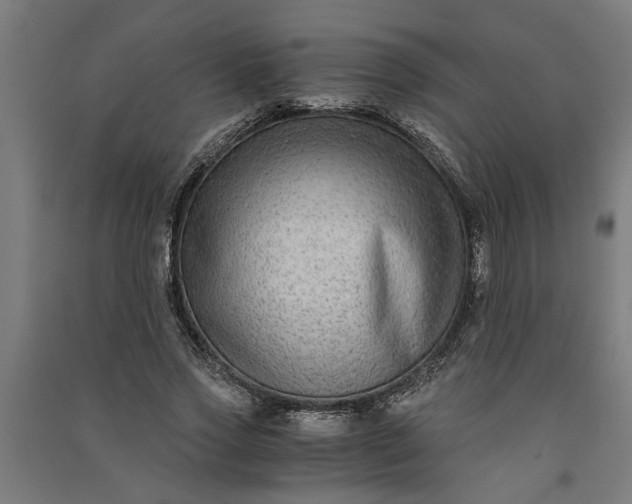 X0000091060733200708201345