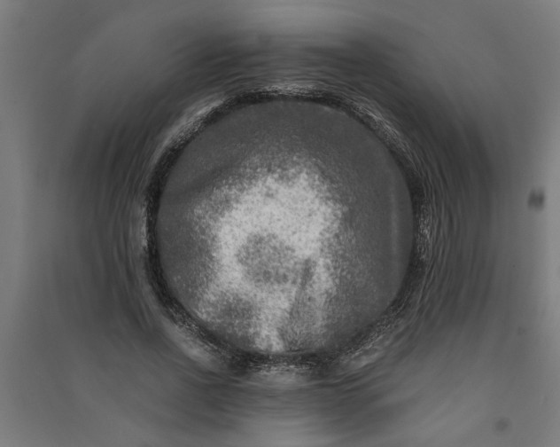 X0000091060734200708201345