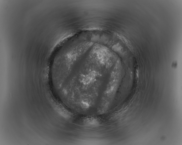 X0000091060735200708201345