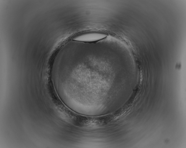 X0000091060736200708201345