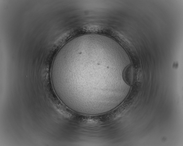 X0000091060737200708201345